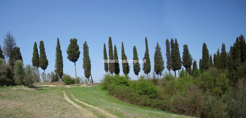 Montrappoli: esempio di strada agricola storica