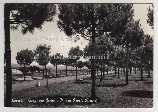 la pinetina