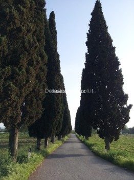 20130503_184323