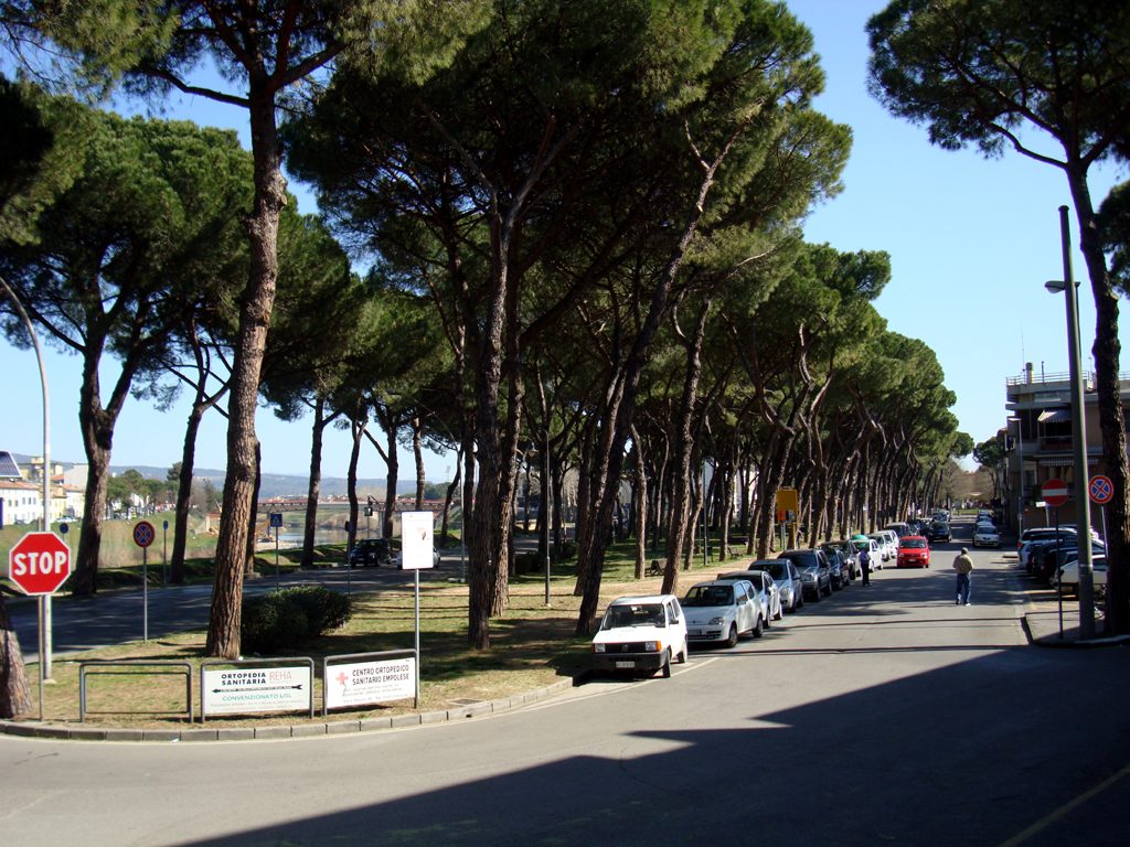 Taglio dei pini di Piazza Ristori in vista