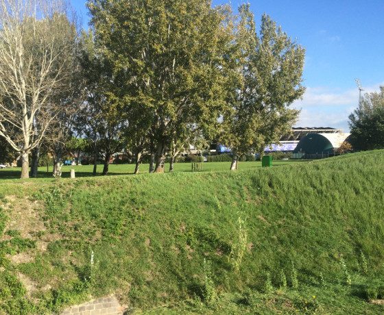 Empoli arno Orme e Stadio 08-11-2015 (2)