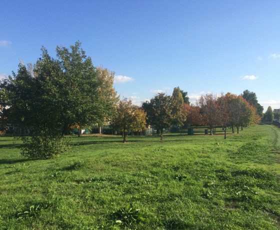 Empoli arno Orme e Stadio 08-11-2015 (7)