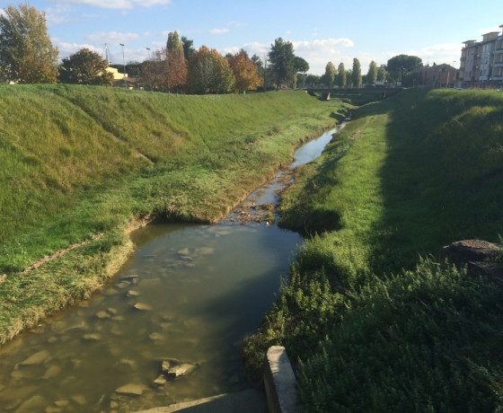 Empoli arno Orme e Stadio 08-11-2015 (8)