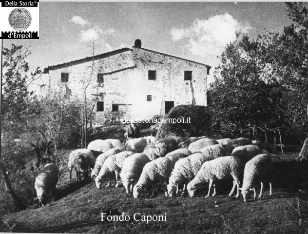 Fondo Caponi Empoli, Vol 1 pagina 27: vita di campagna e il Guadagnoli.