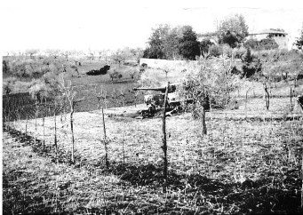 Tiger’s country/ Carri armati Tigre nell’Empolese Valdelsa nel 1944 – di Claudio Biscarini