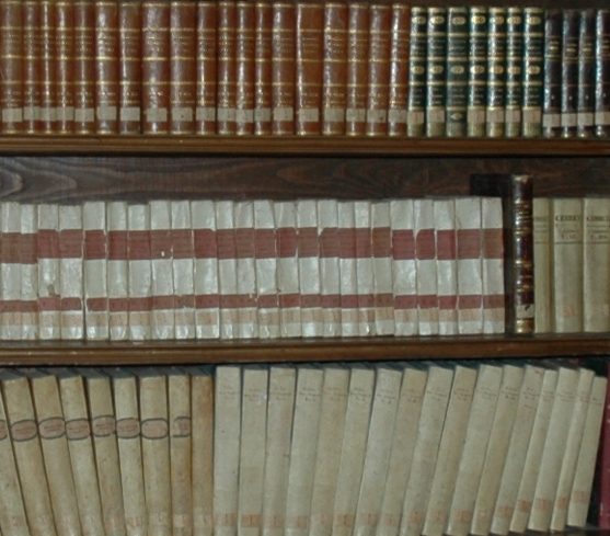 Archivio Documentale D.S.E.